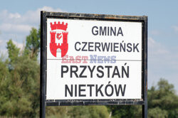 Śnięte ryby w Odrze