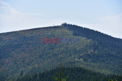 Beskidy Albin Marciniak