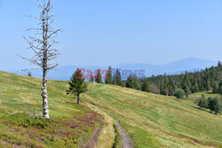 Beskidy Albin Marciniak