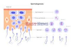 SPL RF Sep 2022