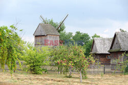 Wielkopolska Marek Bazak