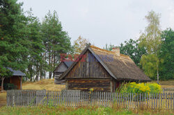 Wielkopolska Marek Bazak