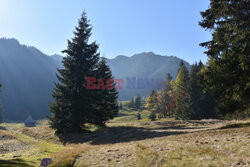 Polskie Tatry Albin Marciniak