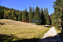 Polskie Tatry Albin Marciniak