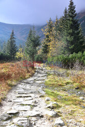 Polskie Tatry Albin Marciniak