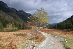 Polskie Tatry Albin Marciniak