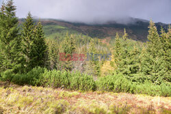 Polskie Tatry Albin Marciniak