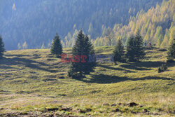 Polskie Tatry Albin Marciniak