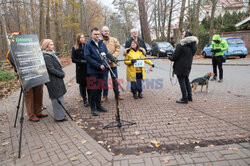 Czwórka Hołowni dla lasów