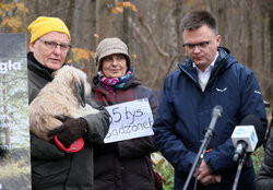 Czwórka Hołowni dla lasów