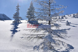 Polskie Tatry Albin Marciniak