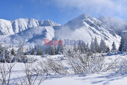 Polskie Tatry Albin Marciniak