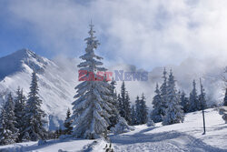 Polskie Tatry Albin Marciniak