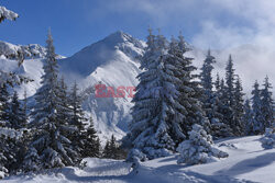 Polskie Tatry Albin Marciniak