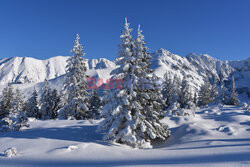 Polskie Tatry Albin Marciniak