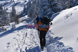 Polskie Tatry Albin Marciniak