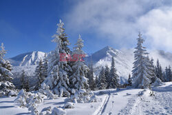 Polskie Tatry Albin Marciniak