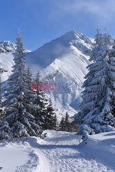 Polskie Tatry Albin Marciniak