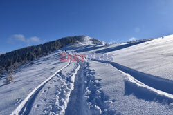 Polskie Tatry Albin Marciniak