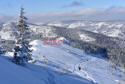 Polskie Tatry Albin Marciniak