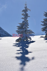 Polskie Tatry Albin Marciniak