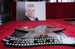 Ray Liotta otrzymał pośmiertną gwiazdę w Alei Gwiazd