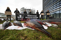 Protest Sea Shepherd przed Parlamentem Europejskim w Strasbourgu