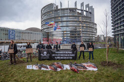 Protest Sea Shepherd przed Parlamentem Europejskim w Strasbourgu