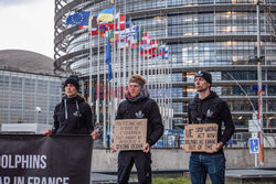 Protest Sea Shepherd przed Parlamentem Europejskim w Strasbourgu