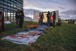 Protest Sea Shepherd przed Parlamentem Europejskim w Strasbourgu