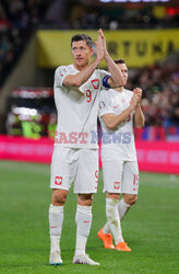 Mecz el. UEFA EURO 2024 Czechy - Polska