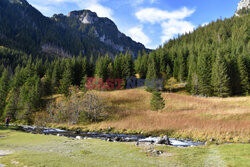 Polskie Tatry Albin Marciniak