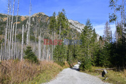 Polskie Tatry Albin Marciniak