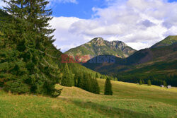 Polskie Tatry Albin Marciniak