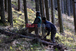 Polskie Tatry Albin Marciniak