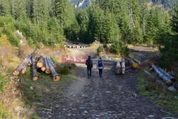 Polskie Tatry Albin Marciniak