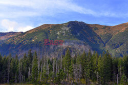 Polskie Tatry Albin Marciniak