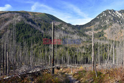 Polskie Tatry Albin Marciniak