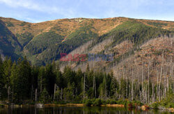 Polskie Tatry Albin Marciniak