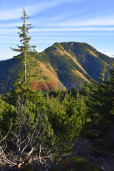 Tatry polskie Albin Marciniak