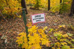 Dzień Wszystkich Świętych