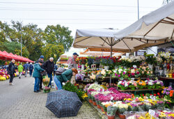 Dzień Wszystkich Świętych