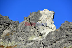 Polskie Tatry Albin Marciniak