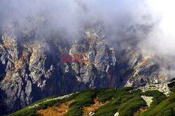 Polskie Tatry Albin Marciniak