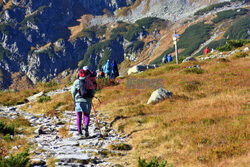 Polskie Tatry Albin Marciniak