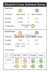 SPL RF Sep 2023