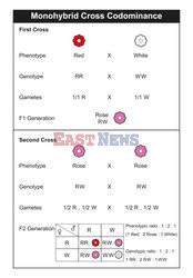 SPL RF Sep 2023