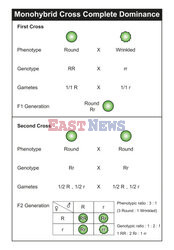 SPL RF Sep 2023