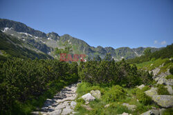 Polskie Tatry Albin Marciniak