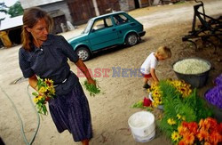 Reporter Poland 2005